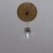 Ekena Millwork Baltimore PVC Medallion (Canopies up to 7 3/4"), 22"OD x 3 1/2"ID x 1"P, Metallic Vintage Gold CMP22BADVG - alternate 7